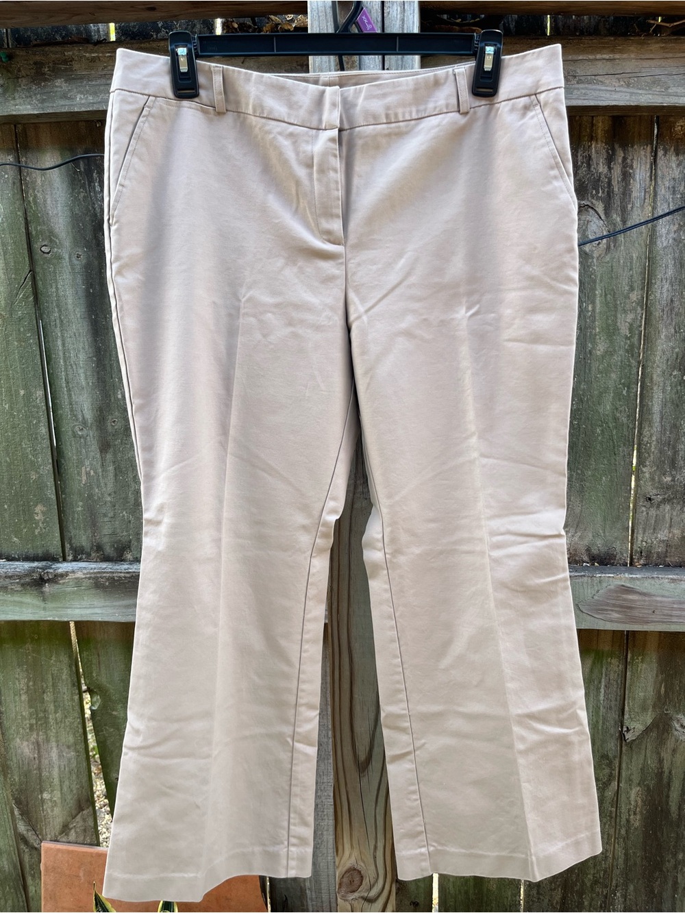 New York & Company Light Beige Boot-Cut Pants